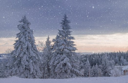 Bild Winterlandschaft