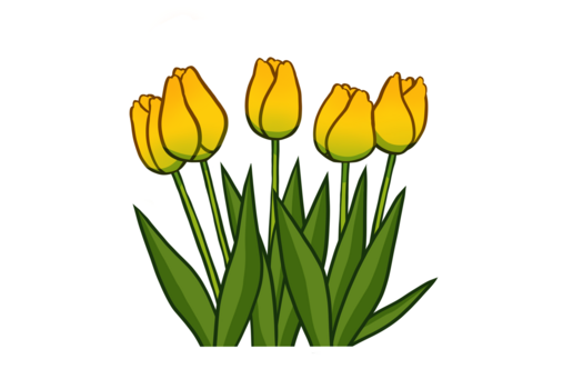 Illustration von Tulpen